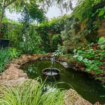 в гостевом доме 3* Odesa